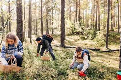 Sure, Sajid! Here’s a **1,000-word SEO-friendly article** for your website **TheNewsGrover.com** titled: --- ## **Luxury Travellers Are Paying to Work for Their Dinner?** In the world of high-end travel, a surprising new trend is reshaping the way affluent adventurers experience luxury. Gone are the days when travelers simply lounged by infinity pools or dined on Michelin-starred meals without lifting a finger. Today’s luxury explorers are doing something quite unexpected — **they’re paying to work for their dinner**. Yes, you read that right. Wealthy travelers are trading spa robes for aprons, and beach loungers for farm tools, all in the name of authentic, hands-on experiences. This growing movement, often referred to as **“experiential luxury travel”**, is turning traditional notions of indulgence on their head. --- ### **The Rise of Experiential Luxury** Luxury travel has always been about exclusivity, comfort, and status. But in recent years, the definition of “luxury” has shifted dramatically. For many affluent globetrotters, the most coveted experiences are no longer about marble bathtubs or private jets — they’re about **connection, authenticity, and meaning**. According to travel industry reports, there’s been a significant rise in demand for immersive, culture-rich activities among high-end tourists. These travelers don’t just want to visit a destination — they want to **live it**. That’s why luxury resorts and travel companies around the world are introducing “work-for-your-dinner” experiences — where guests roll up their sleeves, get involved, and earn the meal they’ll later enjoy. --- ### **From Farm to Table — Literally** One of the most popular versions of this concept is the **farm-to-table experience**, but with a hands-on twist. Instead of simply dining on locally sourced ingredients, travelers are invited to **harvest, cook, and even fish for their own meals**. At the **Belmond Hotel Caruso in Italy’s Amalfi Coast**, guests can spend the afternoon helping local farmers pick vegetables and olives under the sun. Later, they join a chef-led cooking class to prepare a gourmet dinner using the very ingredients they gathered. In **Japan’s rural Hokkaido region**, high-end lodges are offering truffle hunting and rice harvesting programs where guests work alongside local farmers before sharing a meal in traditional style. Even in places like **Tuscany** and **Provence**, where fine dining has long been part of the charm, vineyards and estates now invite visitors to prune grapevines, crush olives, or knead dough — all before sitting down to enjoy a rustic Italian feast. For many travelers, the satisfaction of eating something they’ve helped create adds an emotional richness that no five-star restaurant alone can provide. --- ### **The Psychology Behind Working for Luxury** So, why are people who can afford to do nothing choosing to “work” on vacation? Experts say this movement is driven by **emotional fulfillment** and the human desire for **connection**. After decades of hyper-consumerism, modern luxury travelers are realizing that true satisfaction doesn’t always come from passive indulgence. Instead, they’re seeking out experiences that feel **earned, real, and purposeful**. “Luxury is no longer about showing off wealth — it’s about discovering yourself and connecting with the world,” says travel psychologist Dr. Emily Carson. “When travelers engage in meaningful work, even temporarily, they gain a sense of participation and gratitude that transforms the entire experience.” Working for one’s dinner provides a feeling of **reward** and **achievement** — emotions that many people rarely experience in their fast-paced, digital lifestyles. It’s a reminder that luxury doesn’t always mean ease; sometimes, it means effort. --- ### **Luxury Resorts Turning Work into Play** Many of the world’s most prestigious resorts are adapting to this new form of luxury by offering “interactive indulgence.” * **Six Senses Resorts**, known for sustainable luxury, offers guests the opportunity to spend the day at on-site organic farms. Travelers plant herbs, milk goats, and collect eggs — all culminating in a communal dinner under the stars. * In **Costa Rica**, the luxury eco-lodge **Kasiiya Papagayo** encourages guests to forage for seaweed and tropical fruits with local naturalists before preparing a beachside meal with a private chef. * At **Post Ranch Inn** in California’s Big Sur, guests can participate in gardening and sustainable farming workshops, blending environmental awareness with gourmet dining. Each of these programs turns work into an experience that’s relaxing, meaningful, and deeply satisfying — the new definition of luxury for the modern age. --- ### **The Cultural Connection** Beyond the novelty of “earning” a meal, there’s also a strong cultural dimension. Travelers get to interact with locals, learn traditional techniques, and gain insights into a region’s culinary heritage. In **Greece**, for example, luxury villa hosts offer “Fisherman for a Day” excursions, where guests join real fishermen at dawn to catch their own seafood. Afterward, they cook the day’s catch together on the beach. In **Thailand**, luxury retreats teach ancient Thai cooking from scratch — beginning with picking herbs and spices in the on-site garden, and ending with a shared meal that tastes even better because it carries a story. This kind of cultural engagement helps travelers feel part of something larger, offering not just pleasure but **perspective**. --- ### **Luxury Meets Sustainability** Another major reason behind this trend is the growing concern for **sustainability and responsible travel**. Affluent tourists are becoming increasingly conscious of their impact on the planet and the communities they visit. By participating in hands-on experiences — like organic farming, reef restoration, or traditional fishing — they not only learn but also **contribute**. Many resorts are turning these “work-for-dinner” programs into sustainable initiatives that support local economies and protect ecosystems. For instance, in the **Maldives**, luxury resorts invite guests to plant coral reefs or help fishermen collect plastic waste before joining a beach barbecue featuring locally caught seafood. It’s a blend of luxury and responsibility — indulgence with integrity. --- ### **Social Media and the Search for Authenticity** Social media has also played a big role in the rise of this phenomenon. Travelers today crave experiences that are **Instagram-worthy** — but not in the old sense of glamor and excess. Now, authenticity is the new luxury currency. A photo of someone harvesting lavender in Provence or making pasta in an Italian villa says much more about sophistication and mindfulness than a shot of a champagne bottle on a yacht. Working for your dinner is not just an activity — it’s a story to share, one that reflects depth, curiosity, and cultural appreciation. --- ### **The Future of Luxury Travel** As luxury travel continues to evolve, it’s clear that **experience will outshine extravagance**. The next generation of travelers — especially Millennials and Gen Z — are redefining what it means to travel in style. They value **connection over comfort, purpose over pampering**, and are willing to pay a premium for experiences that enrich their lives in meaningful ways. In the future, we can expect even more innovative “luxury work” experiences — from oyster farming in New Zealand to beekeeping in France — all designed to satisfy the growing hunger for authenticity. --- ### **Conclusion: The New Definition of Luxury** So yes, luxury travelers are indeed **paying to work for their dinner** — and loving every minute of it. This isn’t a rejection of luxury, but rather a reinvention of it. Today’s elite travelers are realizing that the richest experiences come not from passive indulgence but from **active participation**. Whether it’s kneading bread in a Tuscan kitchen, harvesting grapes in a French vineyard, or fishing for dinner in the Greek Isles, these moments of effort and connection are becoming the true hallmarks of modern luxury. As travel evolves, one thing is clear: **the most rewarding meals are the ones you’ve earned — even on a five-star vacation.** --- ✅ *Published on [TheNewsGrover.com](https://www.thenewsgrover.com)* *Author: Sajid Ali* --- Would you like me to also include **SEO meta title, meta description, and keyword list** for this article to help you post it on your website?